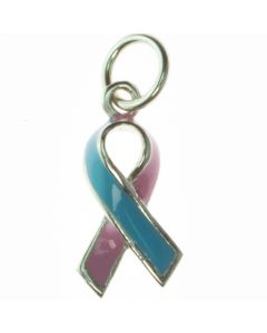 Sterling Silver Enamel Blue and Pink Awareness Ribbon Charm