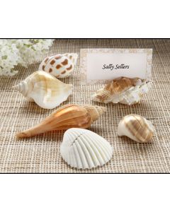 Seashell Placecard Holders - Set of 6